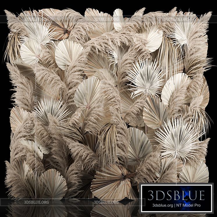 Phytostena of dried flowers pampas grass dry palm branches leaves Cortaderia and reeds. 274. 3DS Max - thumbnail 3