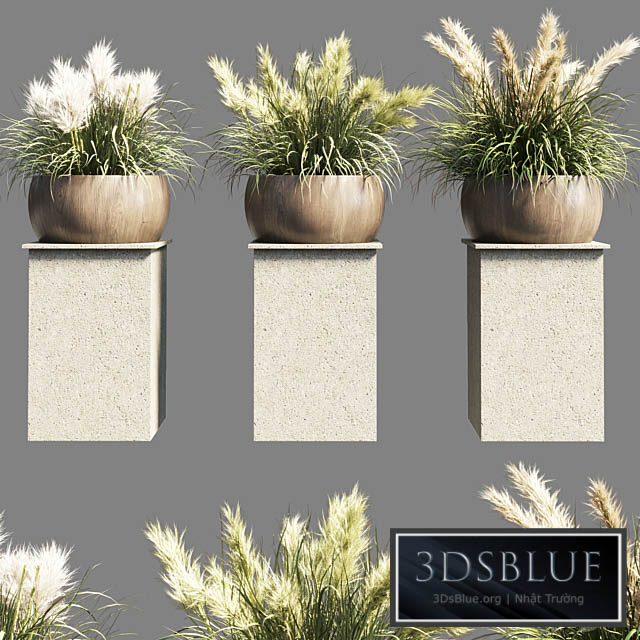Collection outdoor indoor 70 pot palnt grass the dry pampas stand vase wooden 3DS Max - thumbnail 3