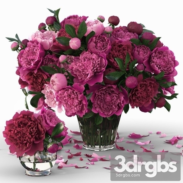 Peonies Purple Bouquet 3dsmax Download - thumbnail 1