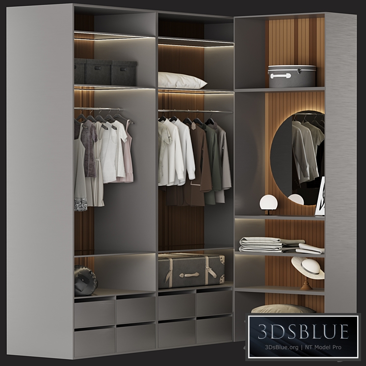 Brown Wardrobe Walk-in Closet Black Glass Door Simple and Luxury 3DS Max - thumbnail 3