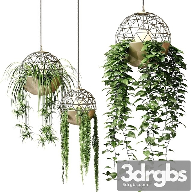 Atelier Schroeter Luminaires With Hanging Plants 3dsmax Download - thumbnail 1