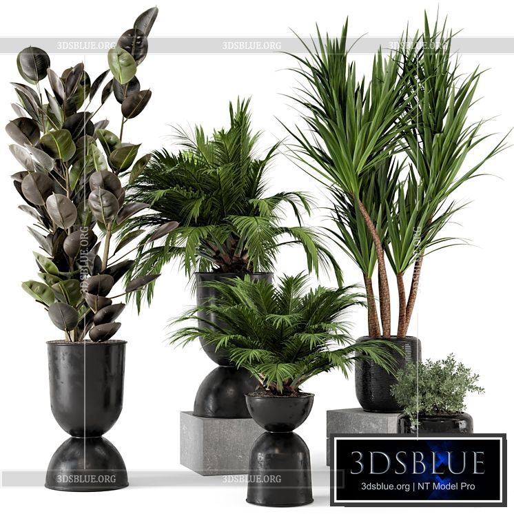 Indoor Plants in Ferm Living Bau Pot Large – Set 226 3DS Max - thumbnail 3