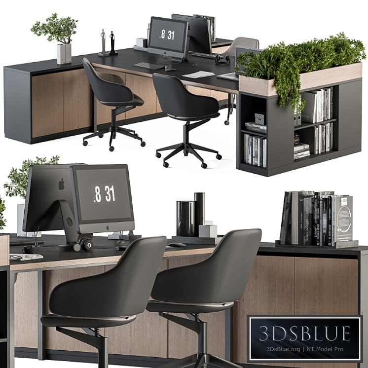 Office Furniture with Plant Box – employee Set 48 3DS Max - thumbnail 3