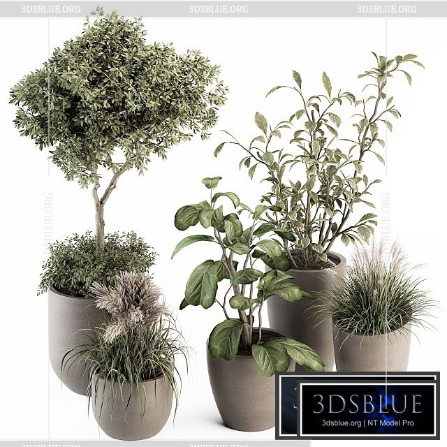 indoor Plant Set 264 – Plant Set in pot 3DS Max - thumbnail 3