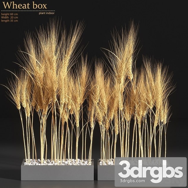 Wheat Box 3dsmax Download - thumbnail 1