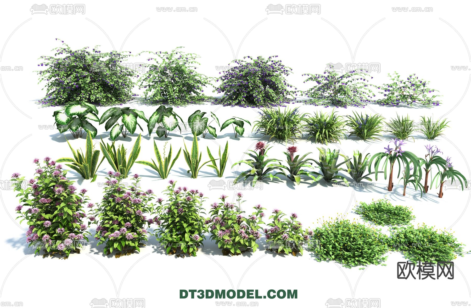 PLANTS – BUSH – VRAY / CORONA – 3D MODEL – 357 - thumbnail 1