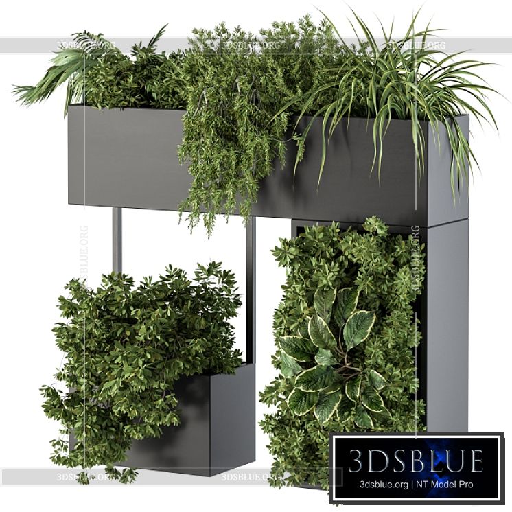 Plant Box on wall – indoor Plants 300 3DS Max - thumbnail 3