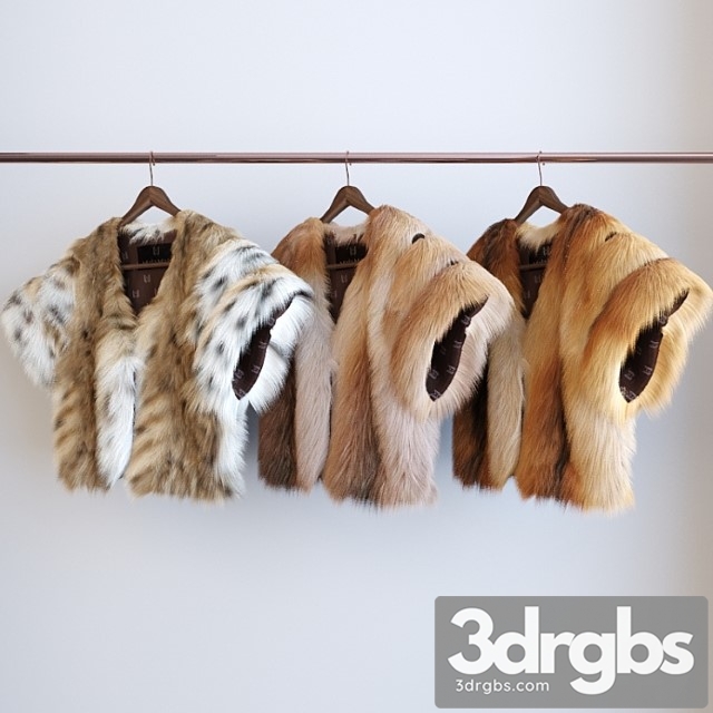Clothes The 3 types of fur 3dsmax Download - thumbnail 1