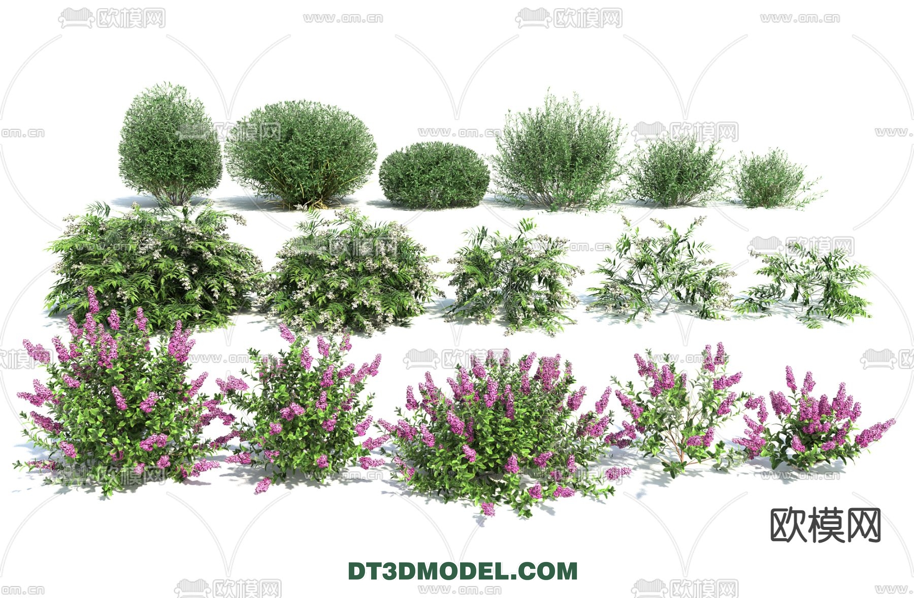 PLANTS – BUSH – VRAY / CORONA – 3D MODEL – 353 - thumbnail 1