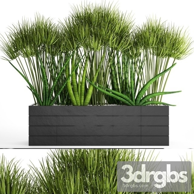 Flowerbed With Plants 3dsmax Download