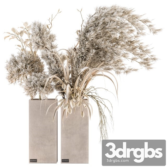 Dry Plants 39 Dried Plant Pampas 3dsmax Download - thumbnail 1