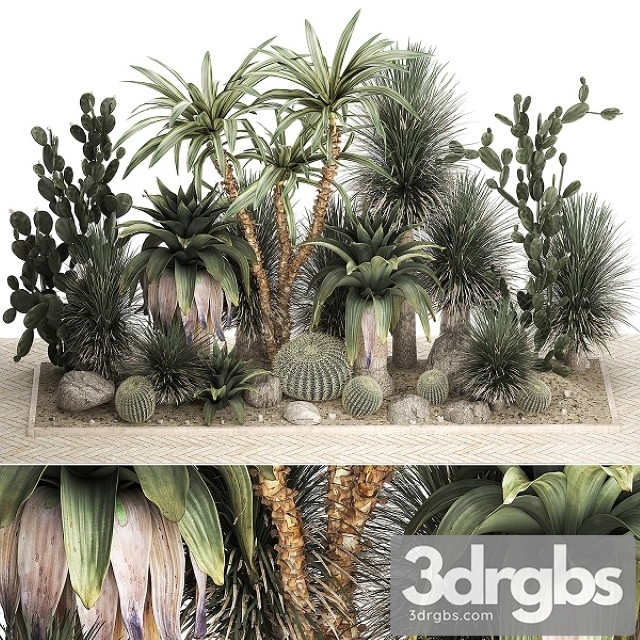 Collection Of Tropical Desert Plants 1108 3dsmax Download - thumbnail 1
