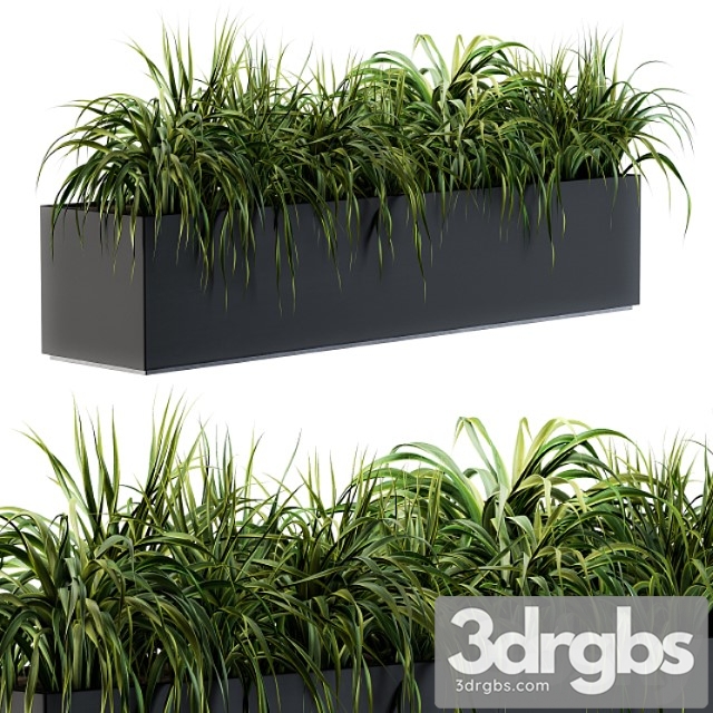 Ranch Grass Plants in Box Outdoor Set 63 3dsmax Download - thumbnail 1