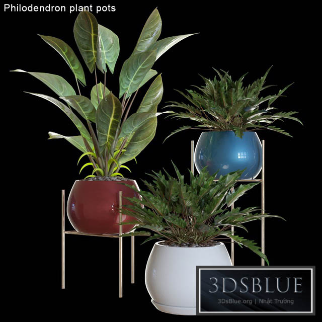 Philodendron plant pots # 2 3DS Max - thumbnail 3