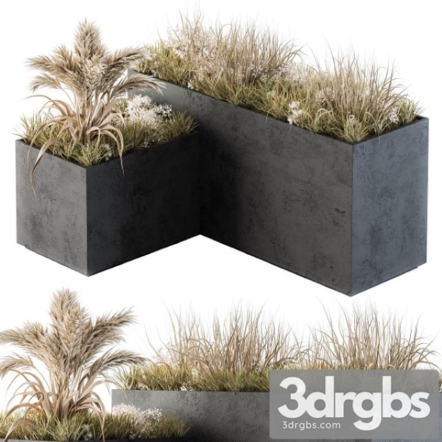 Outdoor Concrete Plant Box With Cereals and Dried Plants 3dsmax Download - thumbnail 1