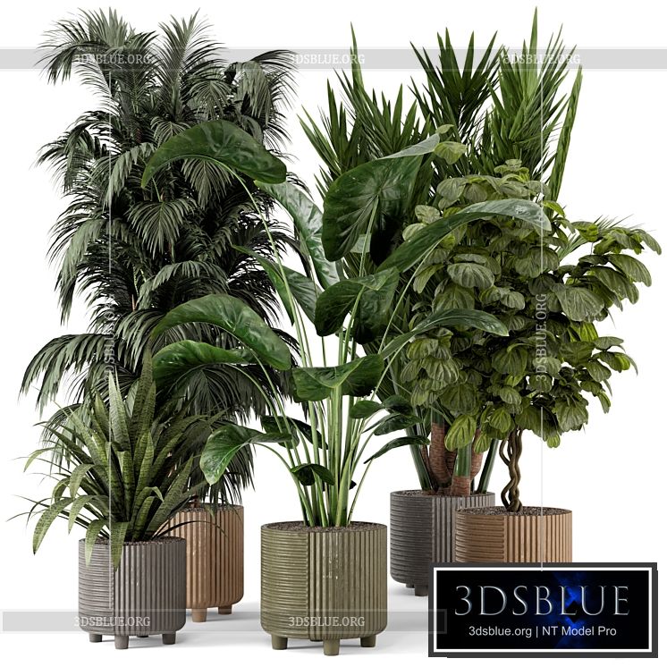 Indoor Planters in Cecilia Ficonstone Pot – Set 349 3DS Max - thumbnail 3