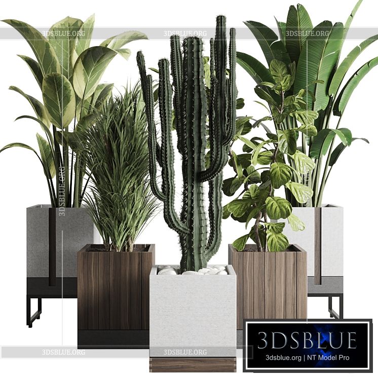 Plant box_Indoor outdoor plant 163 wooden and concrete dirt vase box pot palm cactus Collection 3DS Max - thumbnail 3