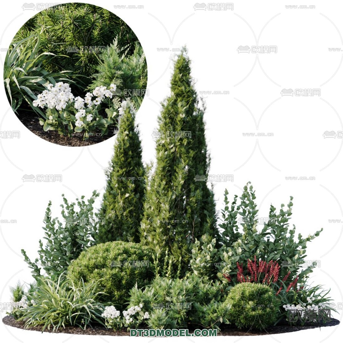 PLANTS – BUSH – VRAY / CORONA – 3D MODEL – 275 - thumbnail 1
