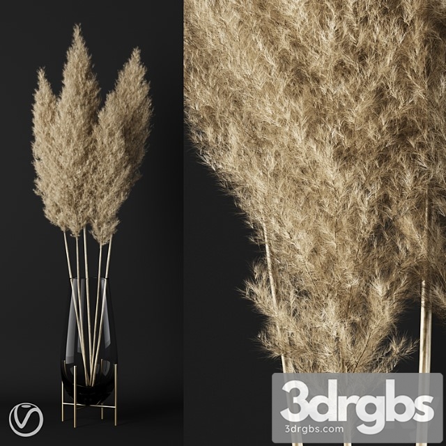 A Bunch Of Pampas 3 3dsmax Download - thumbnail 1
