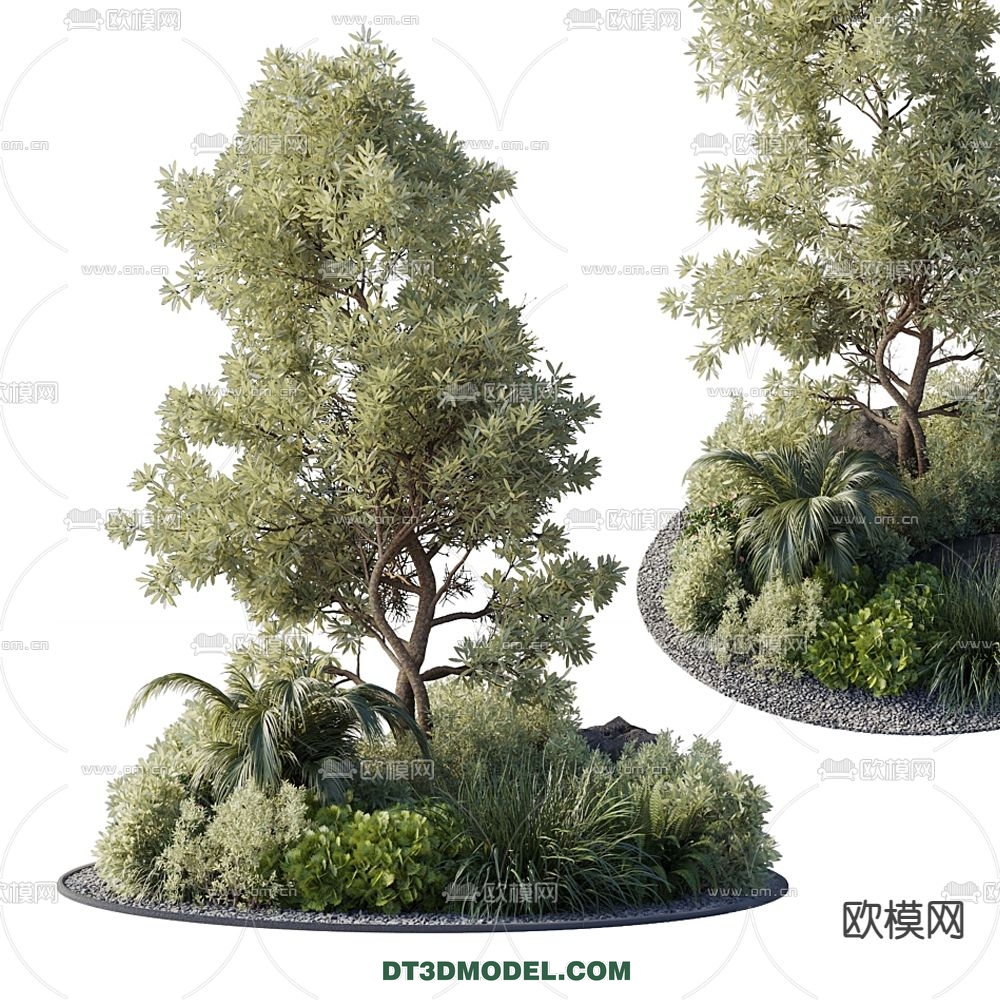 PLANTS – BUSH – VRAY / CORONA – 3D MODEL – 262 - thumbnail 1