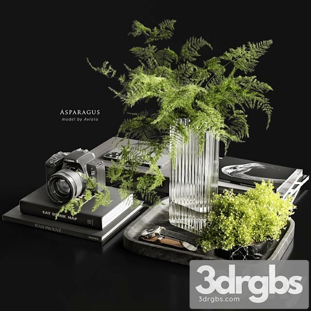 Asparagus 3dsmax Download - thumbnail 1