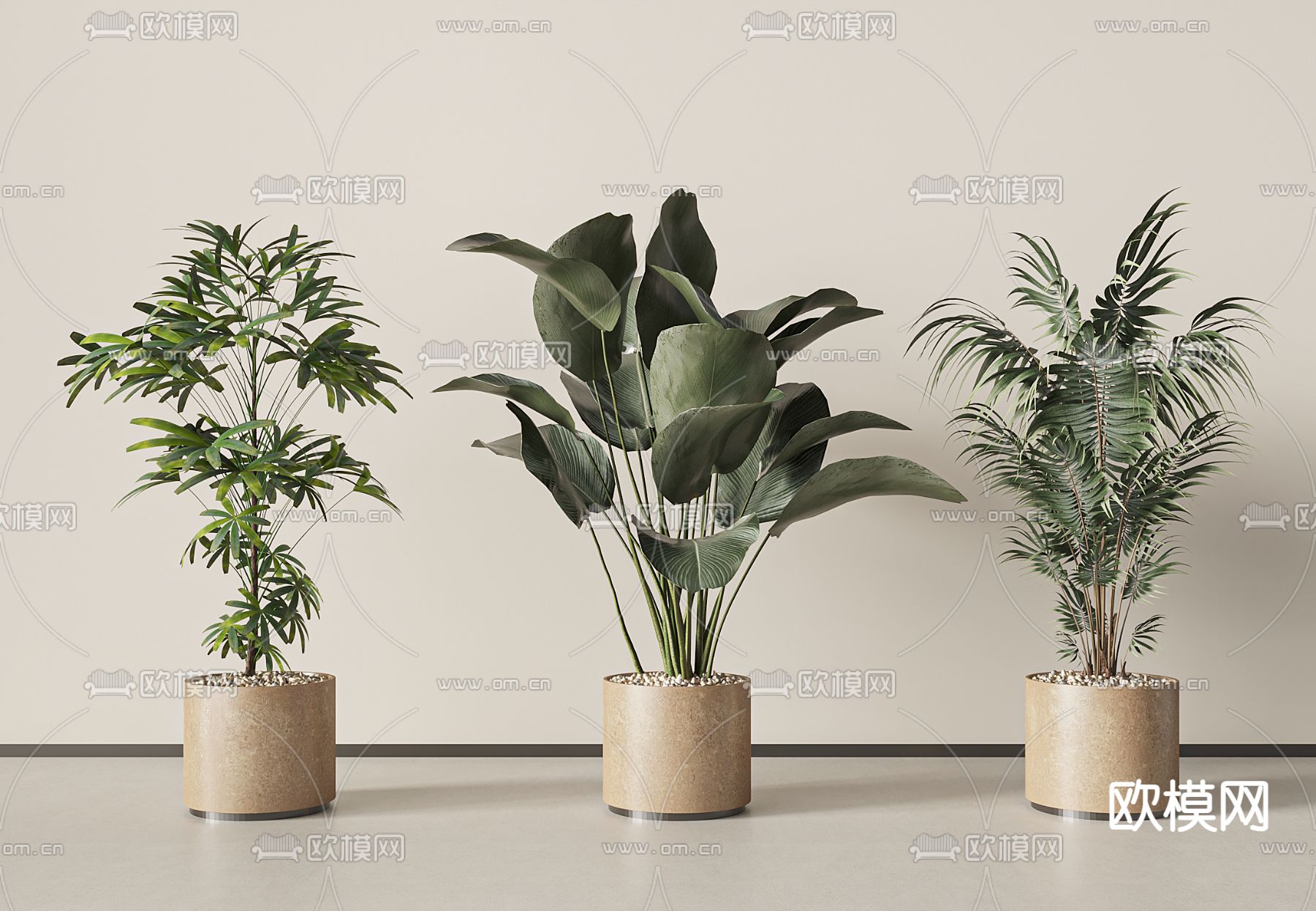 Plant – VRAY / CORONA – 3D MODEL – 476 - thumbnail 1