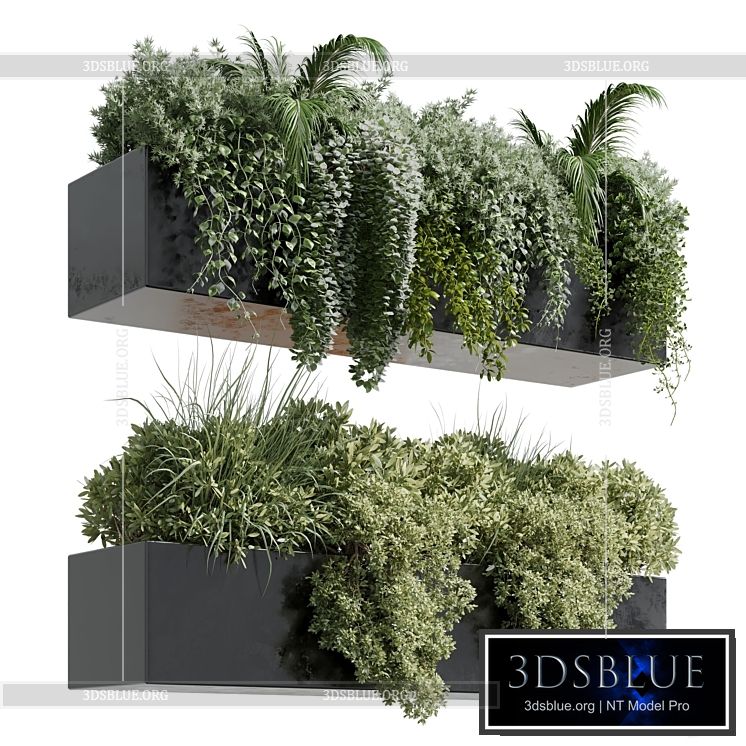 wall plant – hanging plants collection Indoor plant 219 3DS Max - thumbnail 3