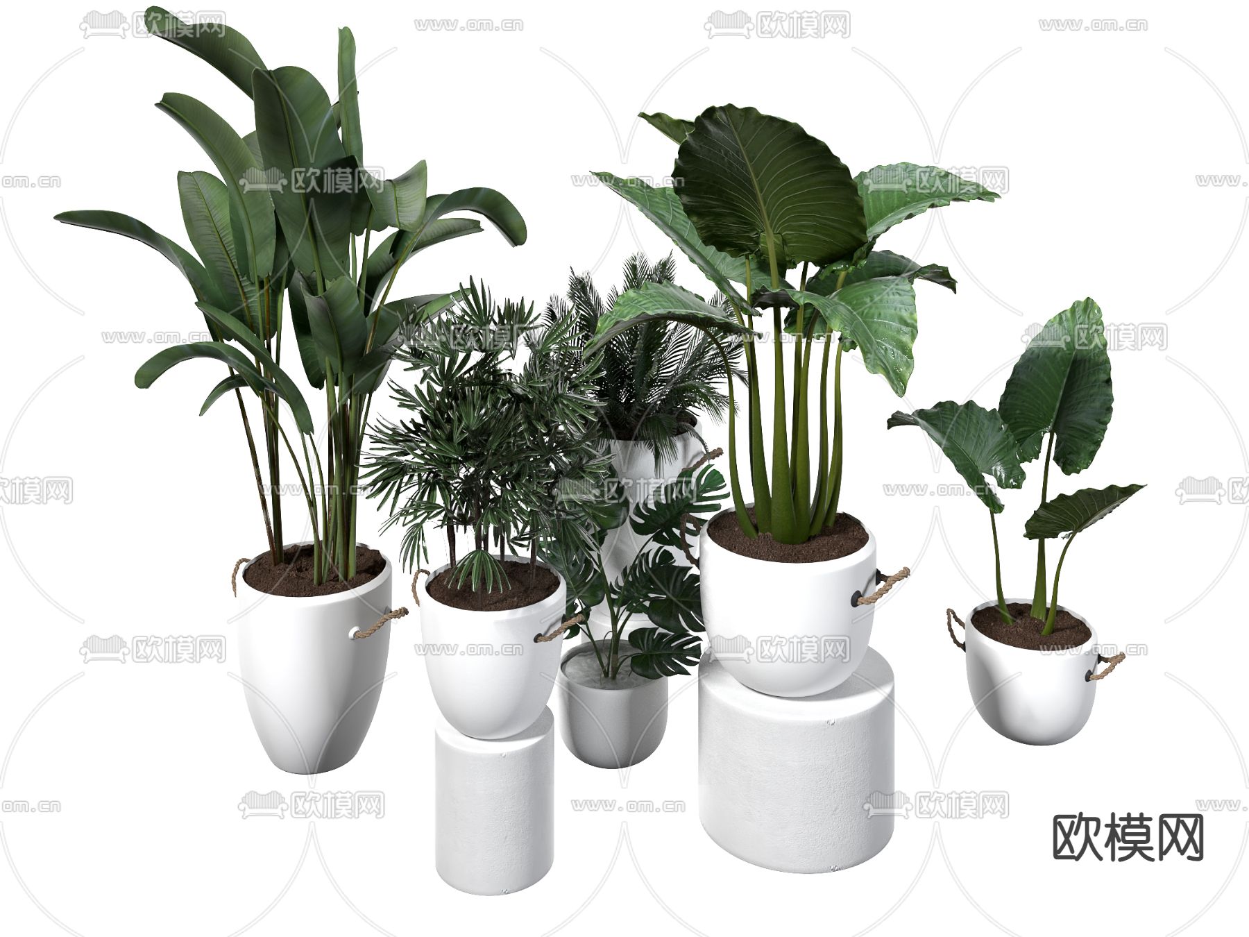 Plant – VRAY / CORONA – 3D MODEL – 464 - thumbnail 1