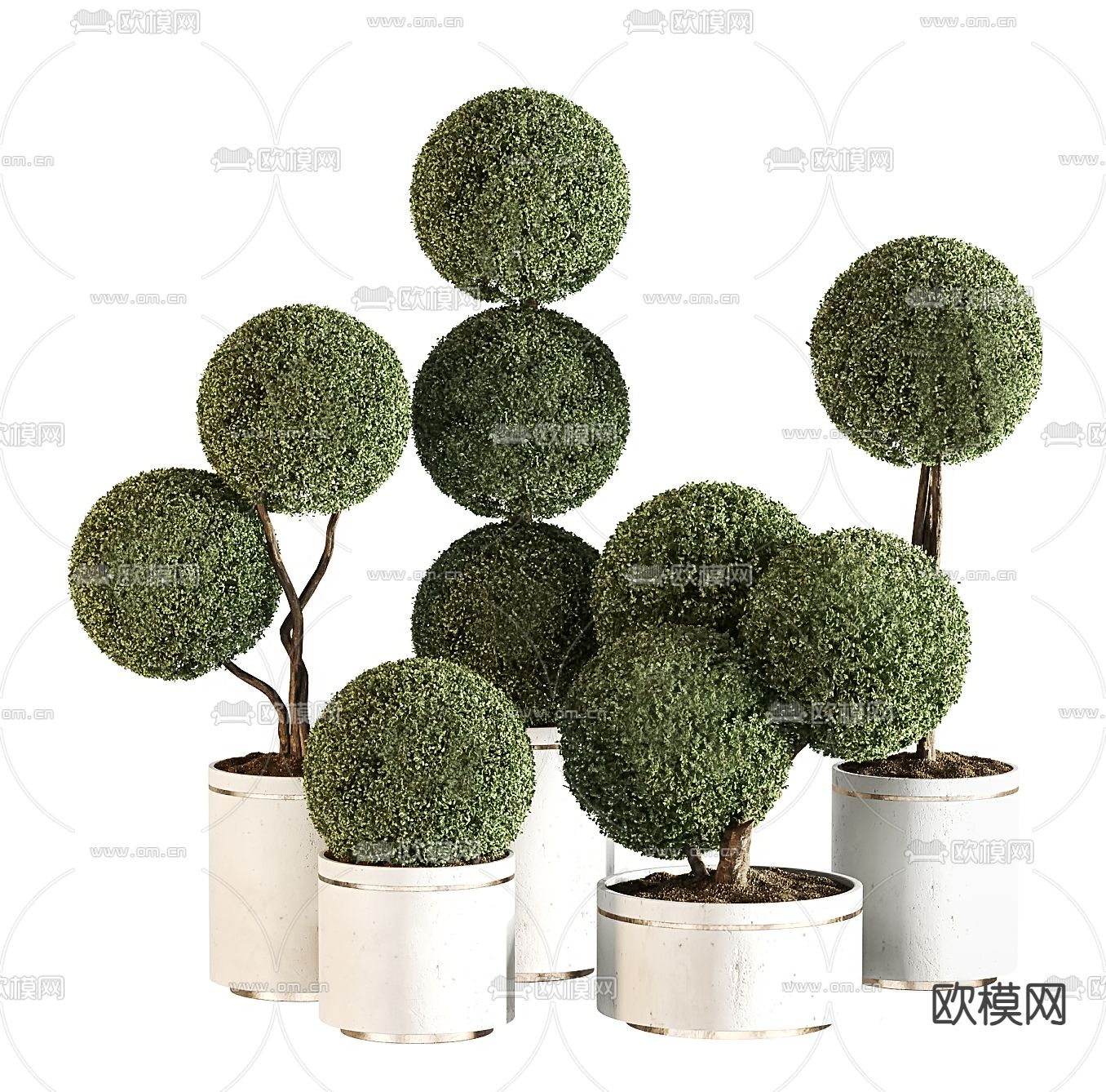 Plant – CORONA – 3D MODEL – 437 - thumbnail 1