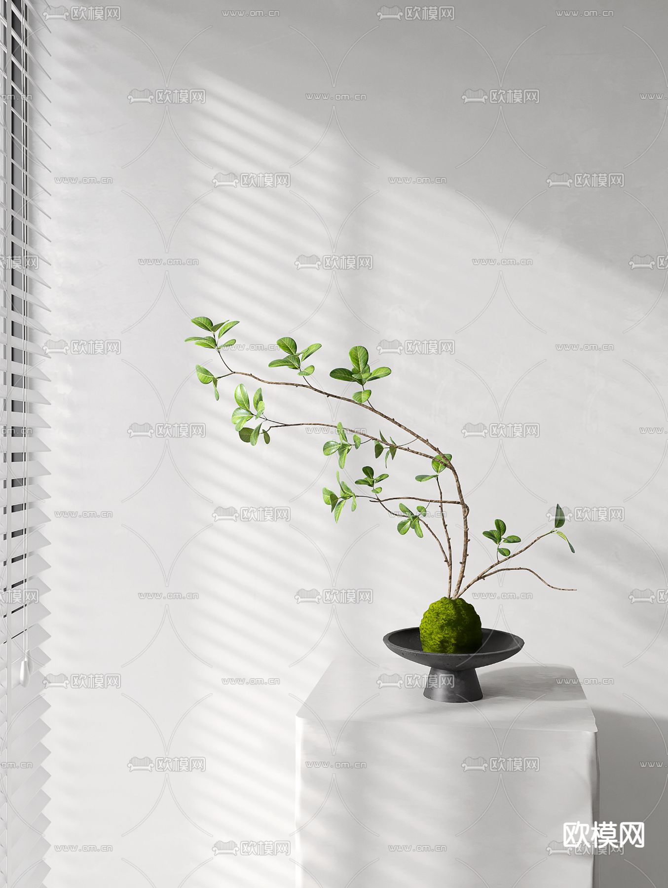 Plant – VRAY / CORONA – 3D MODEL – 440 - thumbnail 1
