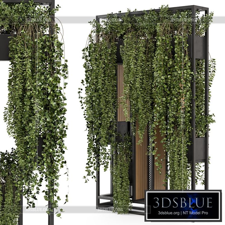 Indoor Hanging Plants in Metal Stand – Set 1005 3DS Max - thumbnail 3