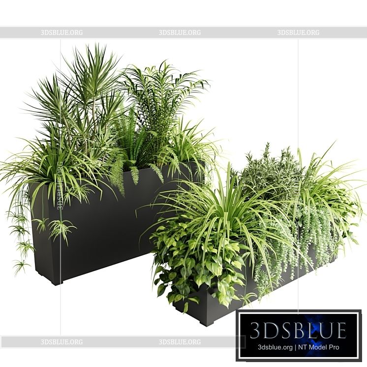 Indoor plants in outdoor boxes 3DS Max - thumbnail 3