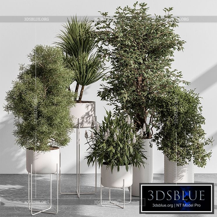 indoor Plant 431 – Tree and Bush 3DS Max - thumbnail 3