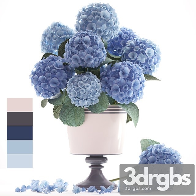 Flower Collection 56 Hydrangea Blue Flowers Flower Vase Branch 3dsmax Download - thumbnail 1