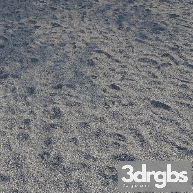 Sand beach gray 7 3dsmax Download