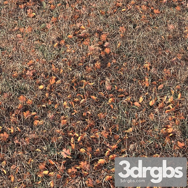 Autumn Grass 3dsmax Download - thumbnail 1