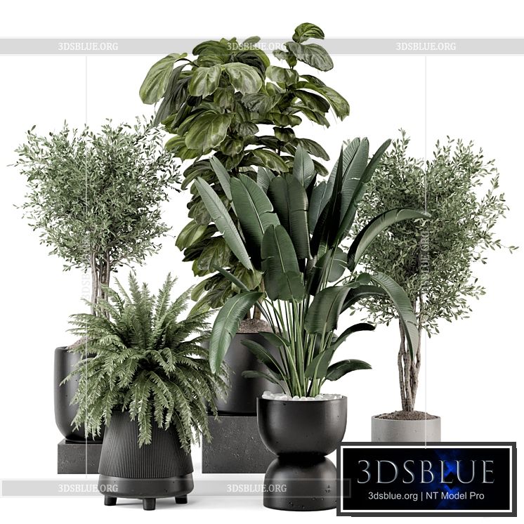 Indoor Plants in Ferm Living Bau Pot Large – Set 1277 3DS Max - thumbnail 3