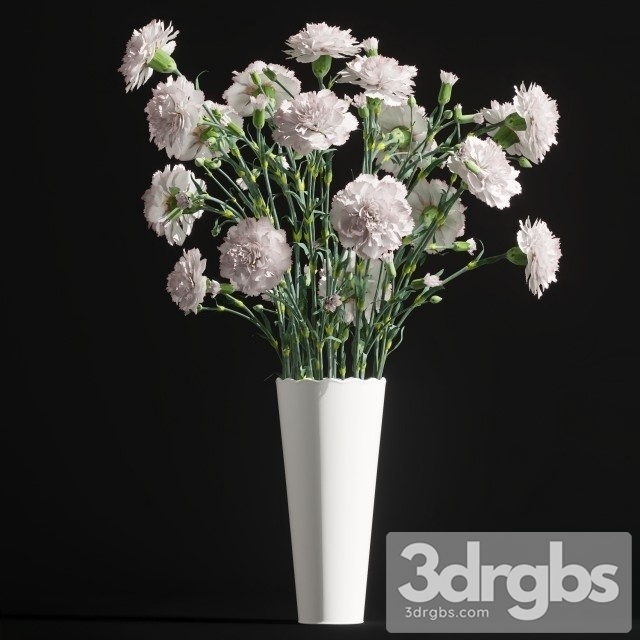 Carnation Bouquet 3dsmax Download - thumbnail 1