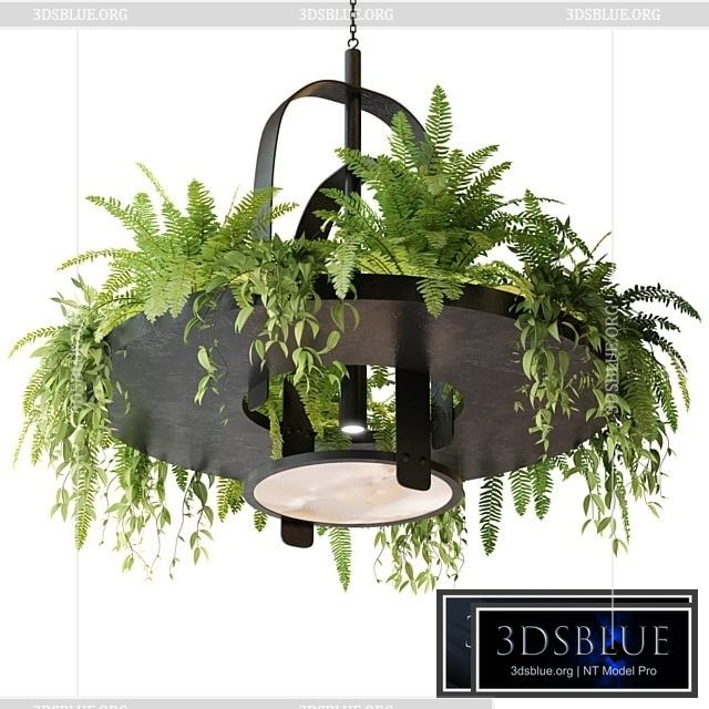 Hanging lamp with plants 3DS Max - thumbnail 3