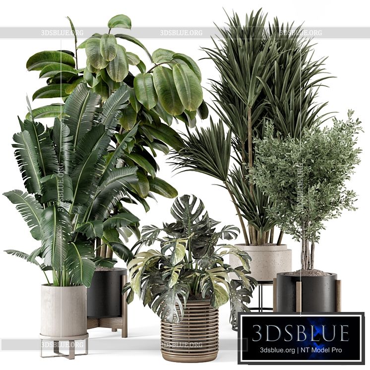 Indoor Plants in Ferm Living Bau Pot Large – Set 1328 3DS Max - thumbnail 3