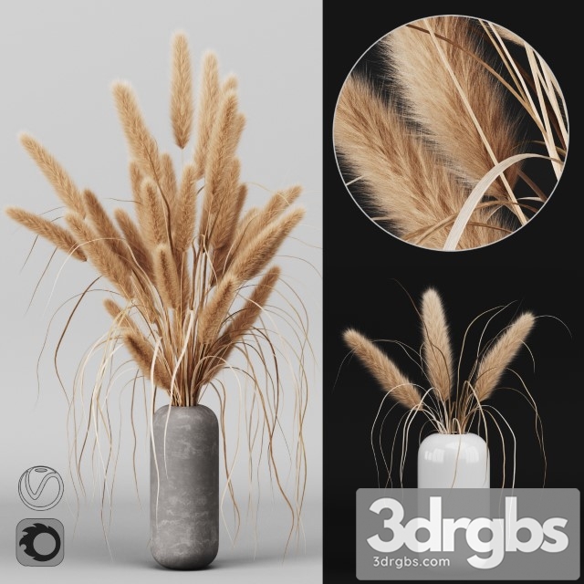 A Bunch of Pampas 2 3dsmax Download - thumbnail 1