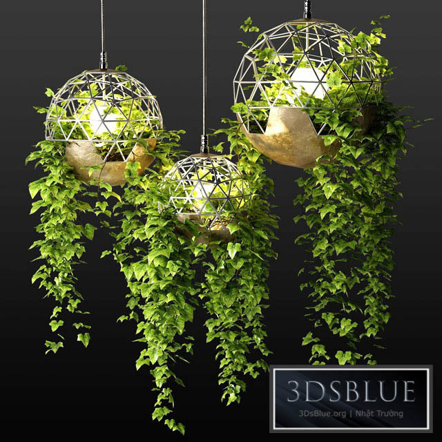 Lamps with hanging plants | The Lighters with a hanging plants 3DS Max - thumbnail 3