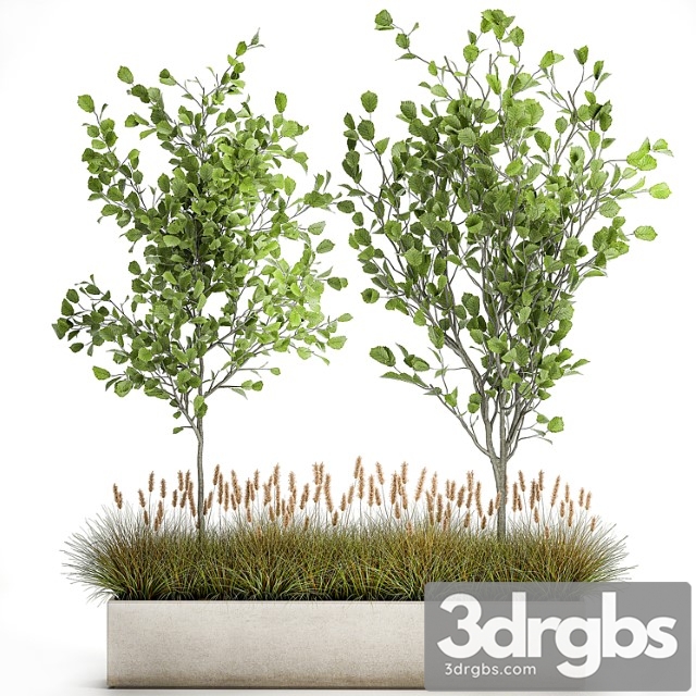 Collection of Potted Plants with Trees Hazel Linden and Reed Bushes 1066 3dsmax Download - thumbnail 1