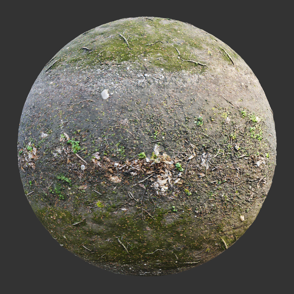 PBR TEXTURES – FULL OPTION – Ground Forest Path – 556 - thumbnail 2