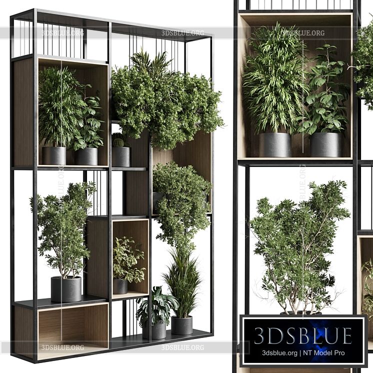 Standing metal shelf with a set 384 of plants in metal boxes corona