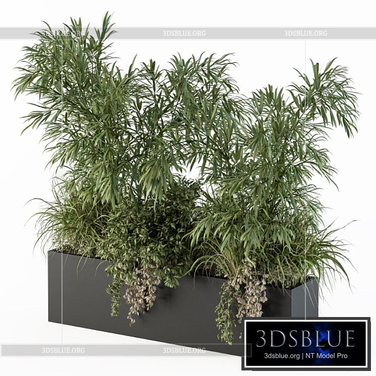 Outdoor Plant Set 252 – Plant Box with Bamboo Tree 3DS Max - thumbnail 3