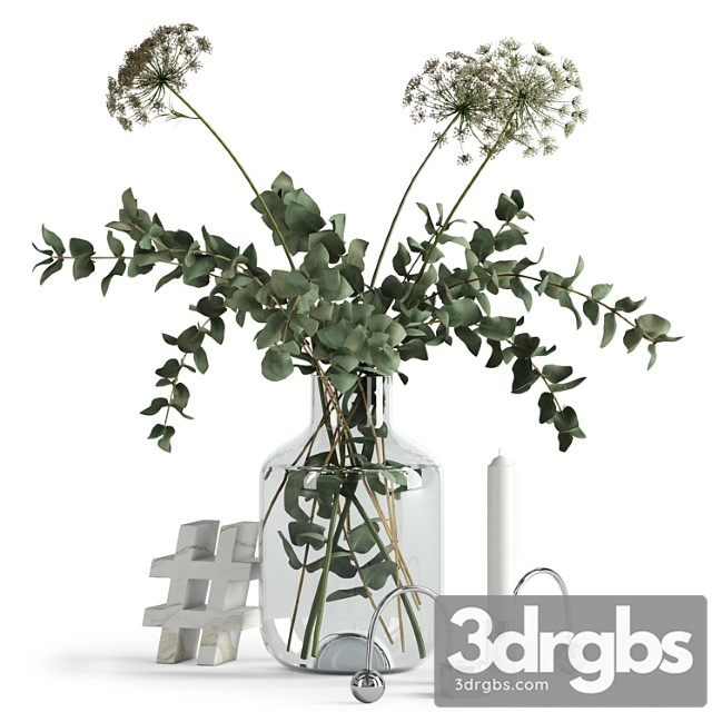 Decorative set Eucalyptus and anna& 3dsmax Download - thumbnail 1