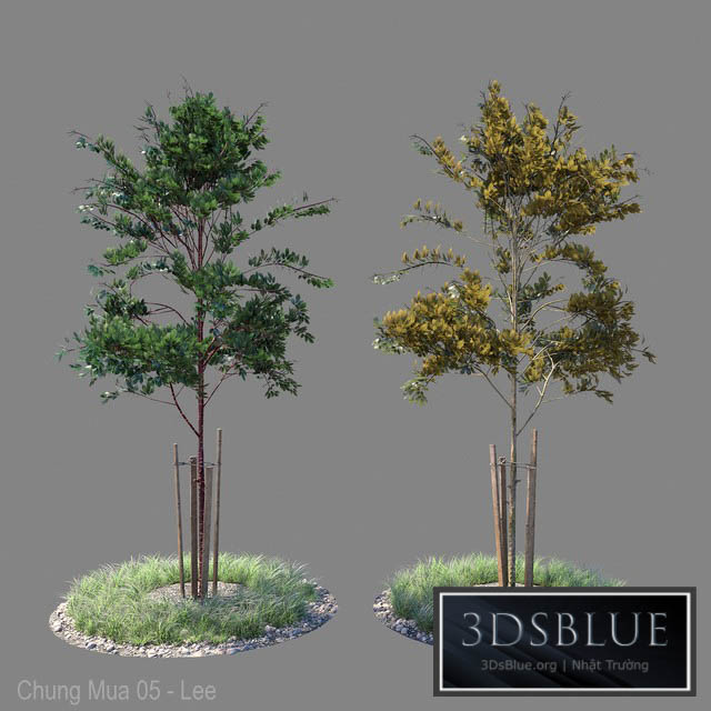 Young tree 04 3DS Max - thumbnail 3