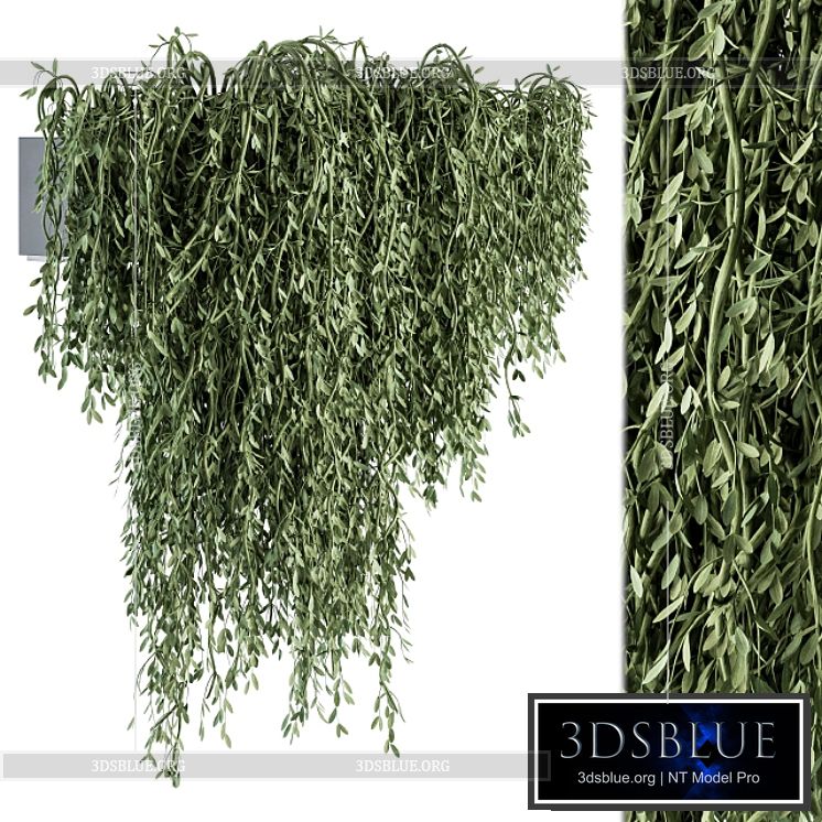 Outdoor Hanging Plants – Set 294 3DS Max - thumbnail 3