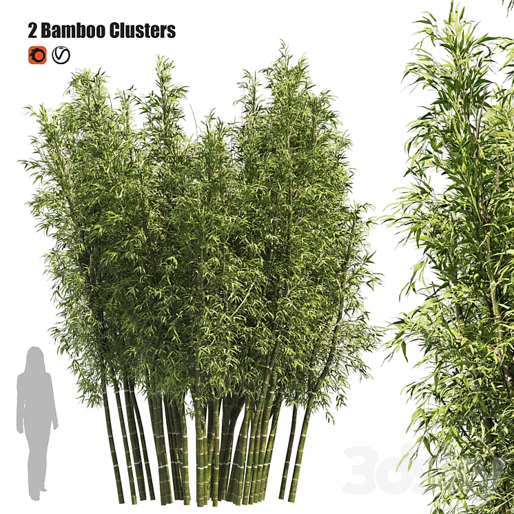 2 Bamboo Clusters 3DS Max